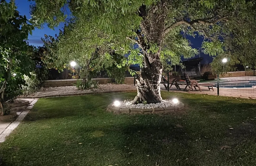 El Almendro del Cura-1